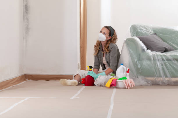 Reliable Mold Inspection contractor in Rocky Ridge, MD by WQB Mold Removal